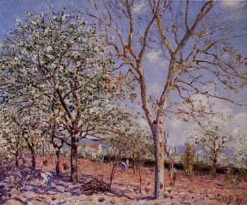 阿爾弗萊德 西斯萊 Plum and Walnut Trees in Spring 阿爾弗萊德 西斯萊 Plum and Walnut Trees in Spring